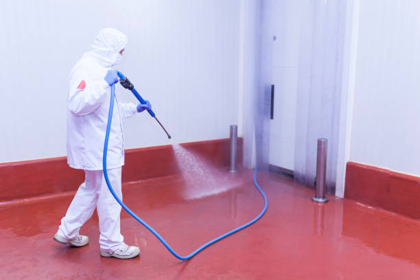 Best Driveway Pressure Washing  in Indianola, WA