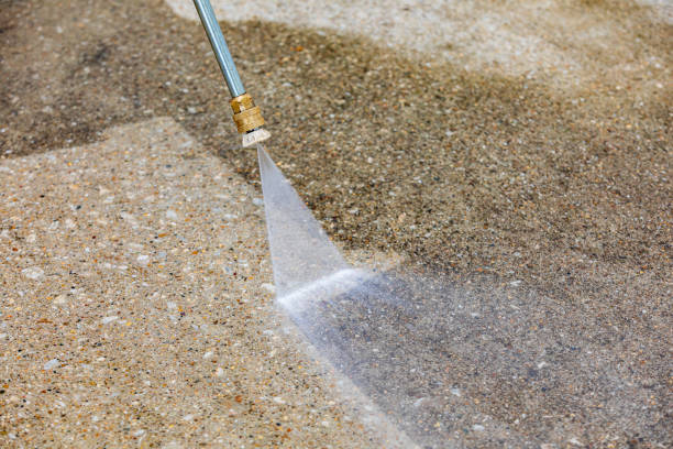 Best Dumpster Area Cleaning  in Indianola, WA